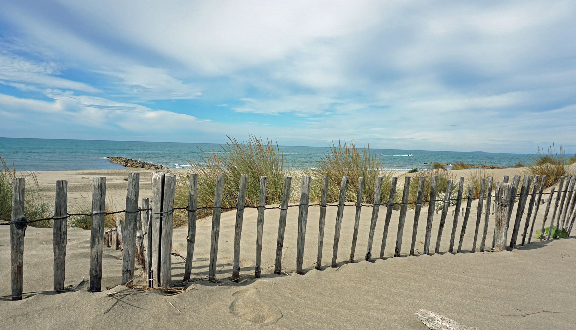 Mornac Plaisirs nature Ronce