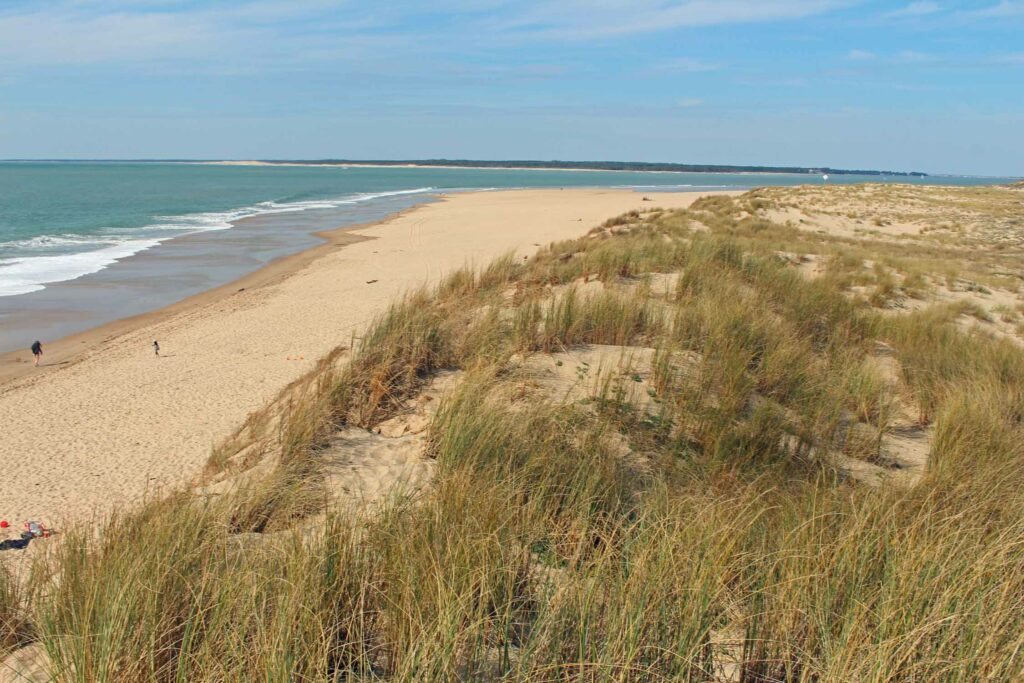pointe espagnole Ronce