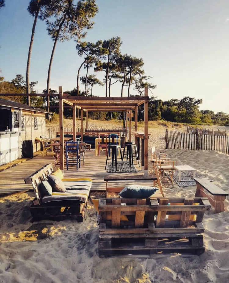 cabane des sales gosses Ronce