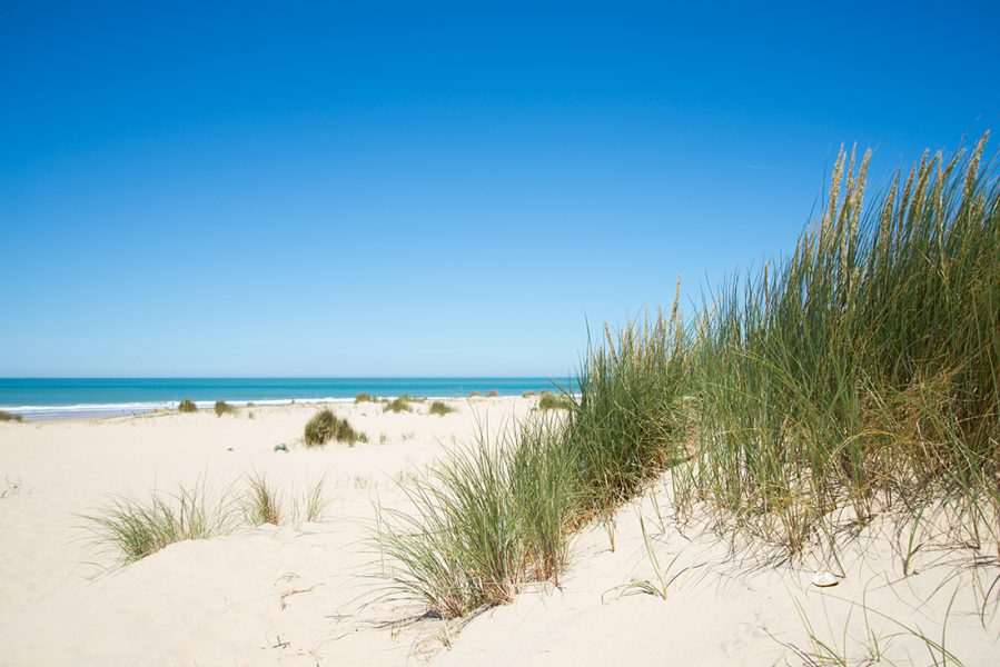 plage-embellie-royan-plaisirsnature