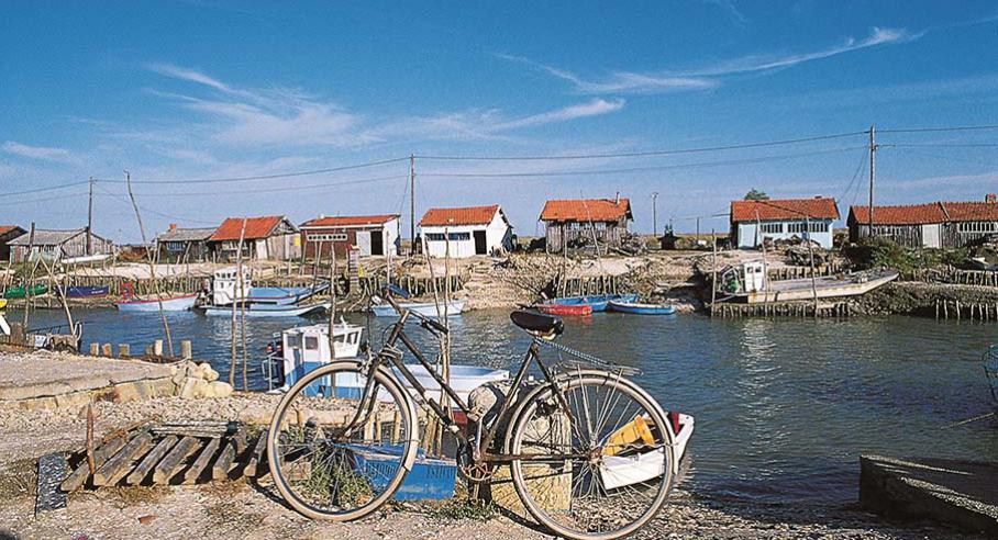 latremblade-velo Plaisirs Nature a la Pignade