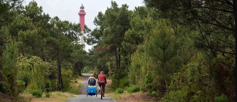 Forêt & phare de la Coubre – Plaisirs Nature