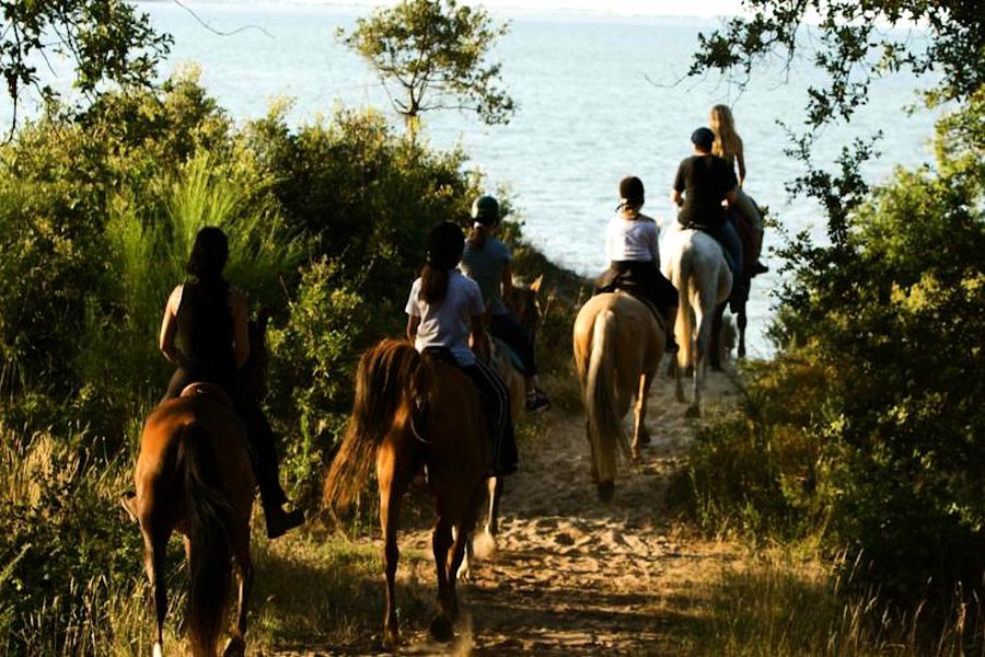 centre-equestre-ronce-plaisirsnature