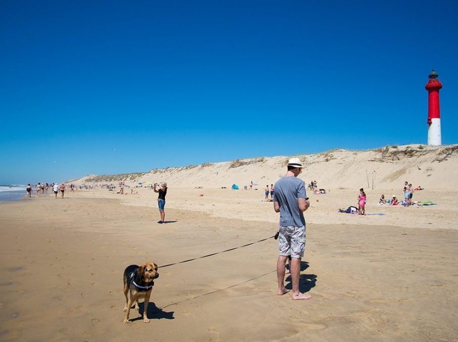 phare-de-la-coubre-plage-plaisirsnature