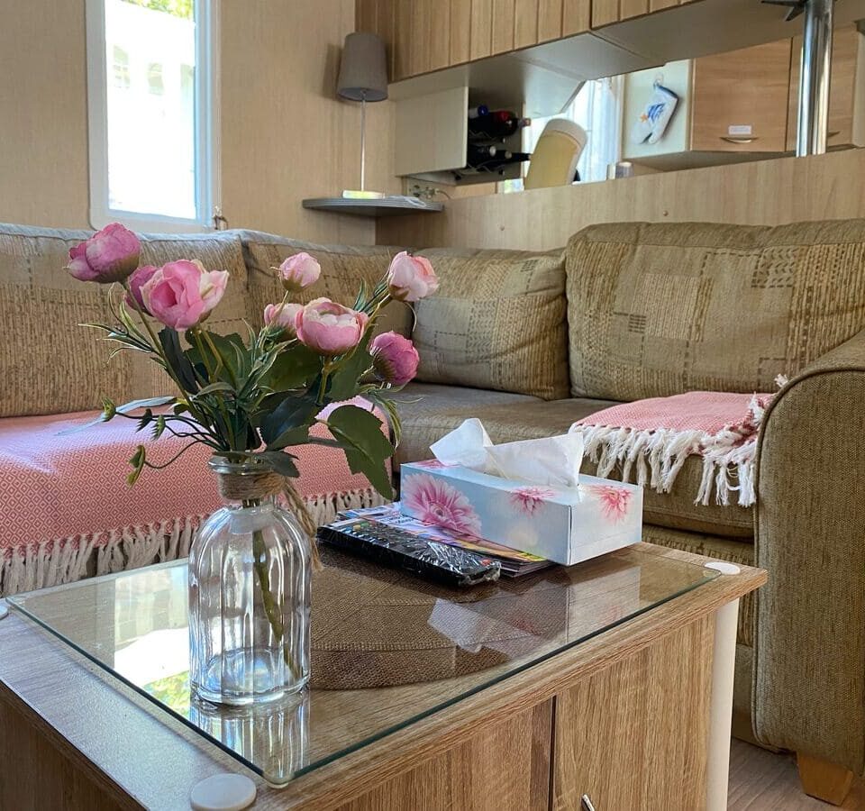 Mobilhome Ronce Plaisirs Nature 43